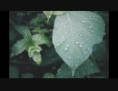 【歌ってみた】雨き声残響