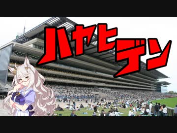 ハヤヒデン(顔でかーいMV)