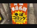 伊藤福島(SC伊藤) 2021年03月19日15時14分【心霊スポット】華厳の滝と中禅寺湖にいく → 帰路【ニコ生録画】