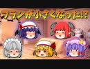 【ゆっくり茶番】小さくなったフラン