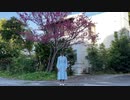 春泥棒　踊ってみた