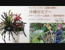 [seminar]沖縄「ランドシャフト・解釈」レクチャー009（in屋嘉2021.03）
