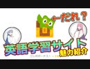 【Duolingo】琴葉姉妹が楽しく英語学習できるサイトを紹介したい