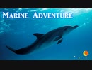 Marine Adventure【海中冒険のBGMを勝手に作ってみた】