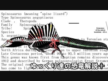 ゆっくり達の恐竜解説＋　第十五回：ステゴサウルス