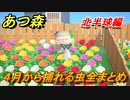 あつまれどうぶつの森　４月から捕れる虫まとめ！捕れる場所と時間帯も紹介！北半球編！　【あつ森】