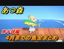 あつまれどうぶつの森　４月までの魚まとめ！場所と時間帯も紹介（南半球編）　魚図鑑コンプするために【あつ森】