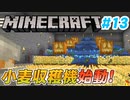 【Minecraft】初心者と一緒にのんびりマイクラ生活#13【女性２人実況】