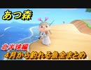 あつまれどうぶつの森　４月から釣れる魚まとめ！釣れる場所と時間帯も紹介！北半球編！　【あつ森】