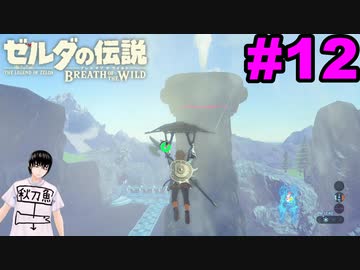 鼻水多くね ゼルダの伝説 ブレスオブザワイルド マスターモード 12 Nicozon