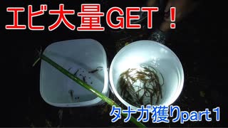 【奄美】タナガ獲りpart１【大島軍】