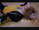 【ツイステ】ラギー・ブッチで　春を告げる　【踊ってみた】