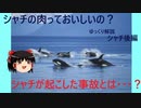 ゆっくり解説その９【メチル水銀なシャチと事故】
