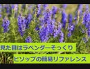 【スパイスを知ろう！】ヒソップを知ろう！【part110】