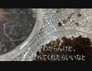[洗濯物って]タランチュラ飼育日記その１２８[なんでたまるんでしょうね]