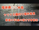【釣り動画】福井県○○半島でヤリイカ大量に釣れる場所発見！ヤリイカ釣れました！ 邪道エギ&鳥の塩ささ身使用！