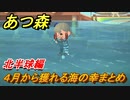 あつまれどうぶつの森　４月から獲れる海の幸まとめ！北半球編！　海の幸図鑑コンプするために！【あつ森】