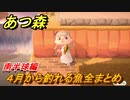 あつまれどうぶつの森　４月から釣れる魚まとめ！釣れる場所と時間帯も紹介！南半球編！　【あつ森】