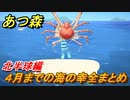 あつまれどうぶつの森　４月までの海の幸まとめ！（北半球編）　海の幸図鑑コンプするために　【あつ森】