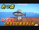 あつまれどうぶつの森　４月までの魚まとめ！場所と時間帯も紹介（北半球編）魚図鑑コンプのために【あつ森】