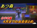 あつまれどうぶつの森　４月までの虫まとめ！場所と時間帯も紹介！（北半球編）【あつ森】