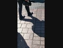 2021.3.15TBS報道のカメラマンに新コロ感染者報道について聞いてみた！