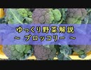 ゆっくり野菜解説 part4 ブロッコリー