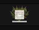 The Chainsmokers - Don't Let Me Down (Hardwell & Sephyx Remix) ft. Daya