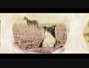 【UTAUカバー】徒花満ちて【塩音ルト】