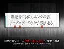 サーキット場での走行音や排気音は｢自然の音｣なのか!?