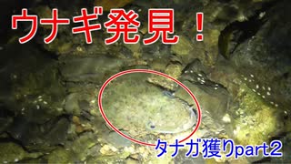 【奄美】タナガ獲りpart２【大島軍】