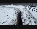 またまた雪が積もりました