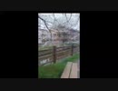 THE MANDAN MAN /らじお　Free Talk　NATIVE