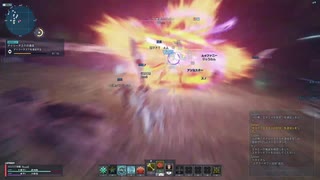 【PSO2 NGS Cβ2】絶望のワウロン 討伐 FoHu視点