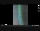 白の16LEDでかざすと自宅内の電離放射線で緑に映ります。