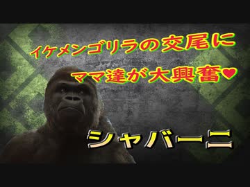 東山動植物園｜愛知の中心で愛を叫ぶ獣とイケメンゴリラ