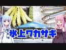 【釣りのあとには♪】長野☆ワカサギと遊ぼう！
