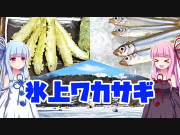 【釣りのあとには♪】長野☆ワカサギと遊ぼう！