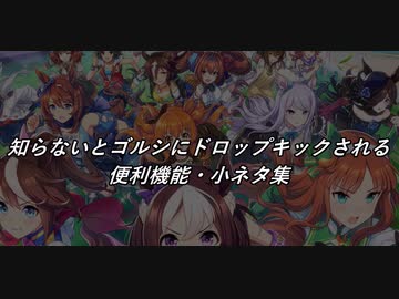 知らないとゴルシにドロップキックされる便利機能・小ネタ集【ウマ娘】