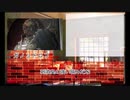 【ゆっくり人狼】まだ名前のない人狼　3日目【14D猫】