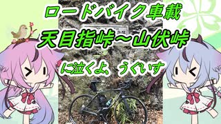 【ロードバイク車載】天目指峠～山伏峠に泣くよ、うぐいす【鳴花ヒメ・ミコト】