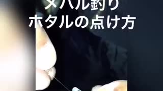 メバルちゃんを釣りにいきましょう♪