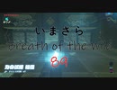 【実況プレイ】いまさらゼルダの伝説 Breath of the Wild: 89