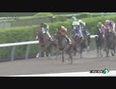 アポロビビ　　中山・千葉ステークス　2021年3月21日