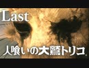 【実況】思い出の中のその怪物はいつも優しい目をしていた。【人喰いの大鷲トリコ】Last