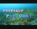 ゴープロ・GoPro HERO9 Black＆イノンセミフィッシュアイコンバージョンレンズ装備撮影・アカヒメジ下から上に！