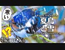 0329R1【異常気象？寒波に震えるツバメと桜】春の雪と鳥。コサギが魚を捕食。カモに雪が積もる。カワセミ、ヒヨドリ、セキレイ。春の花。鶴見川水系恩田川でコンデジ野鳥撮影 #ツバメ #異常気象 #春の雪