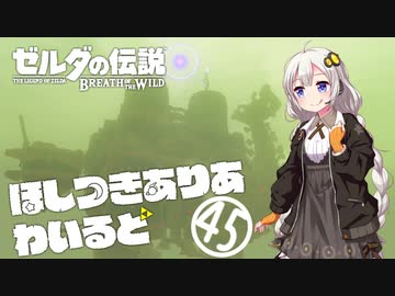 【ゼルダの伝説BotW】ほしつきありあわいるどPart45【VOICeVI実況】
