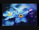 勿忘/Awesome City Club  Cover.そら