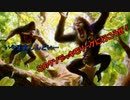 【MTGゆっくり実況】赤くて速いMagic Online /Super Crazy Zoo【パイオニア】